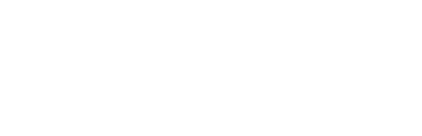 AMICAL 2019 at the American University in Cairo