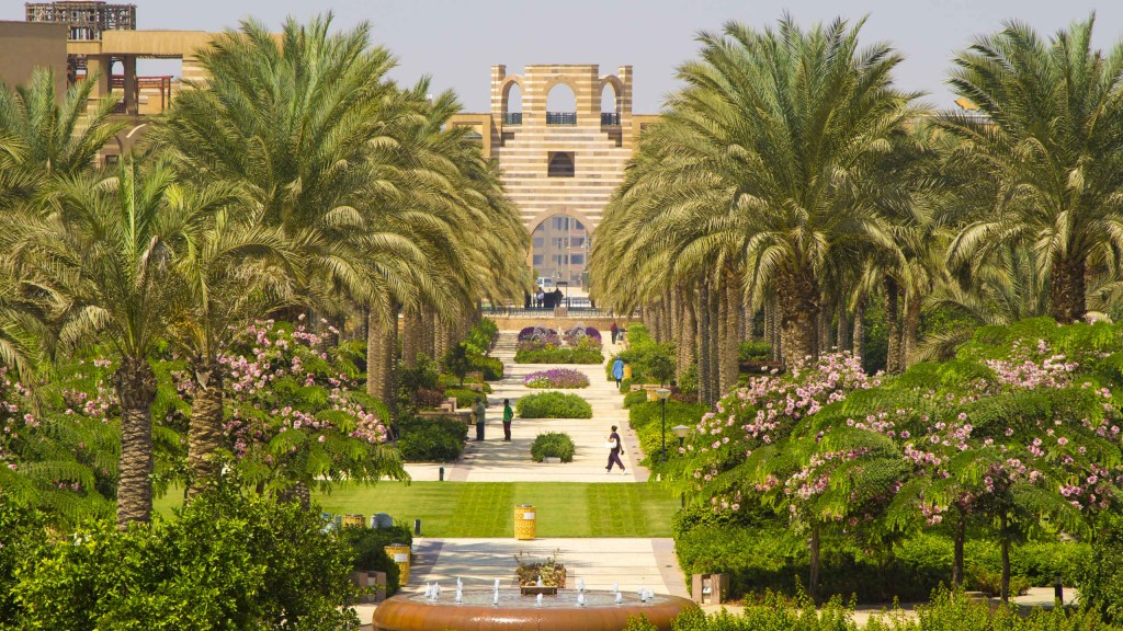 A photo of the AUC campus with its tall palm trees and blooming garden.