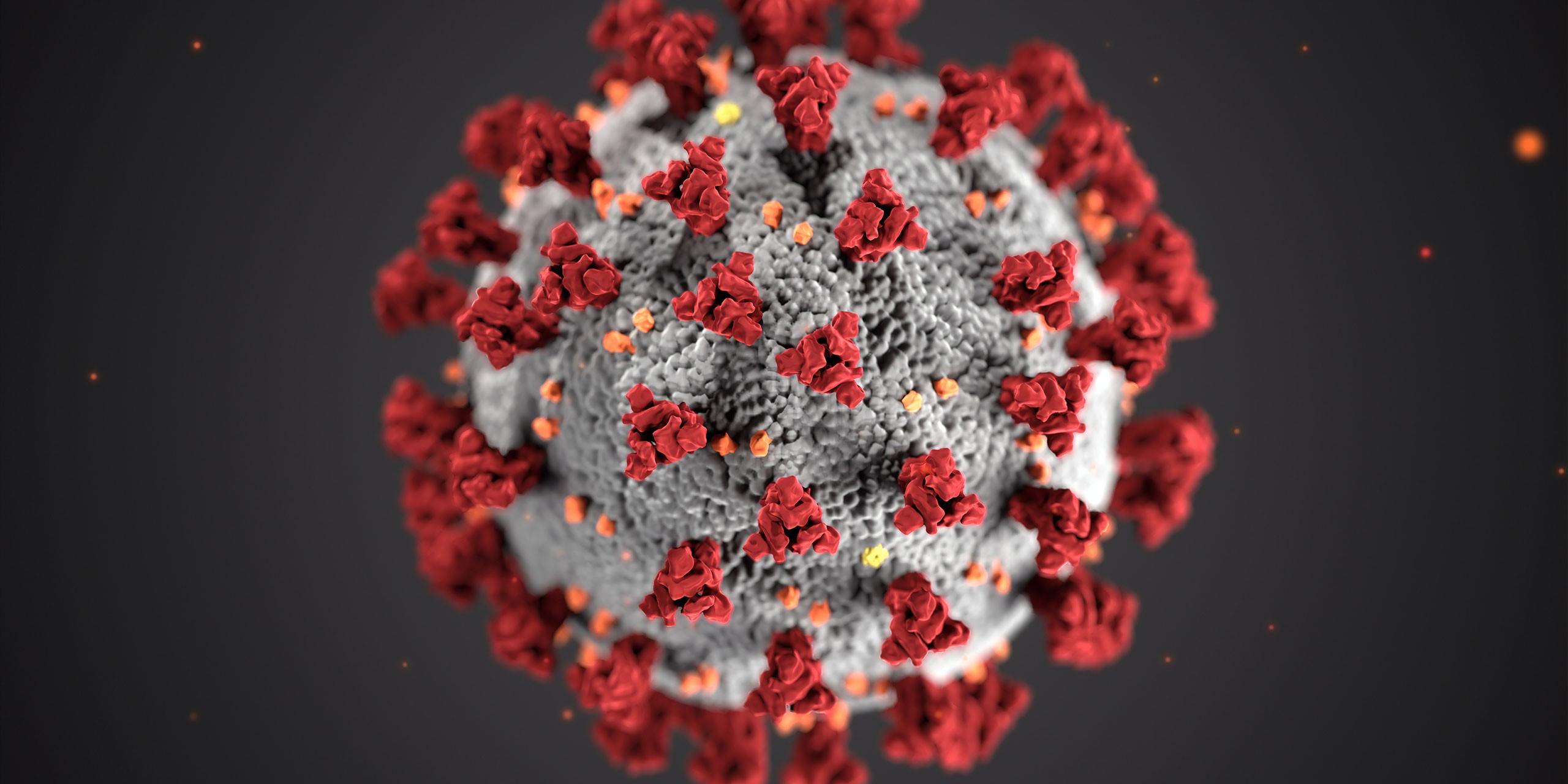 This illustration of the ultrastructural morphology exhibited by coronaviruses.