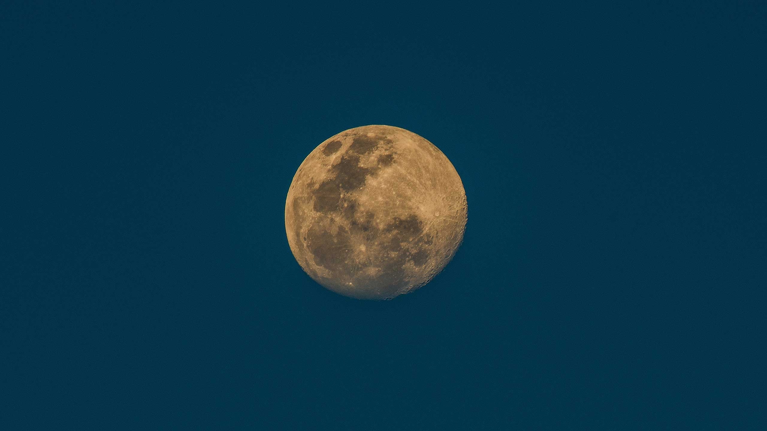 A large, yellow moon.